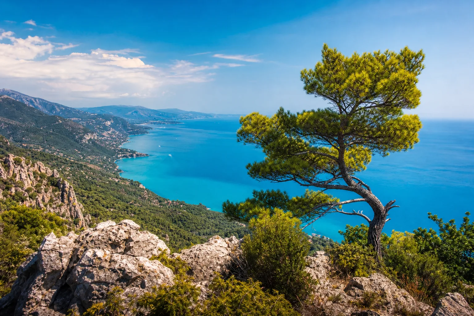 Les meilleures expériences nature autour de Nice