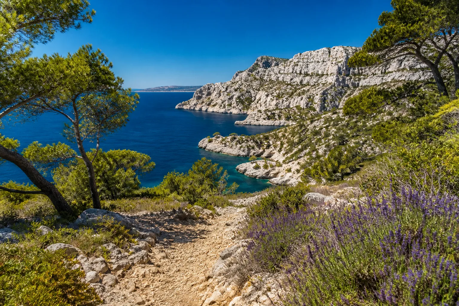 Top 7 Spots Nature Incontournables Bouches-du-Rhône