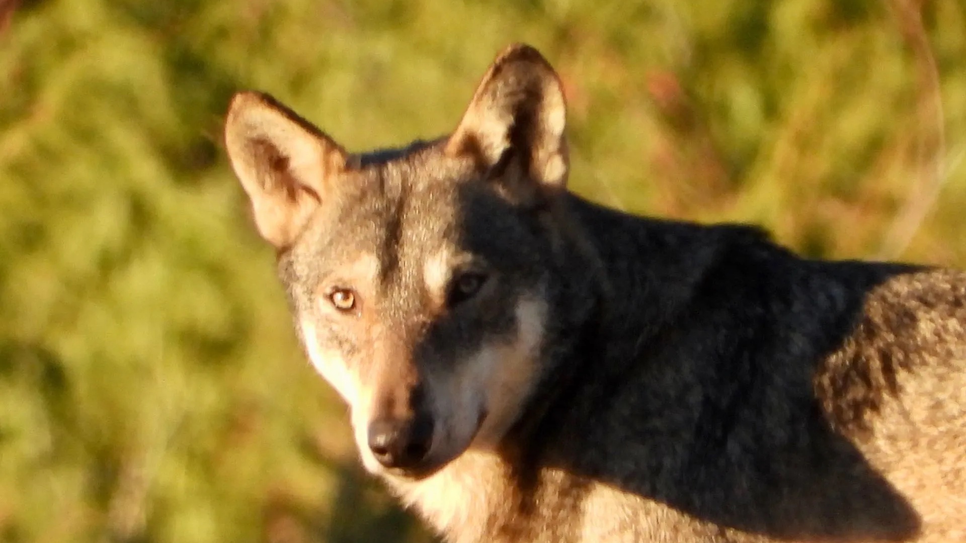 Trek Abruzzes Italie 8 jours - Action & Sport