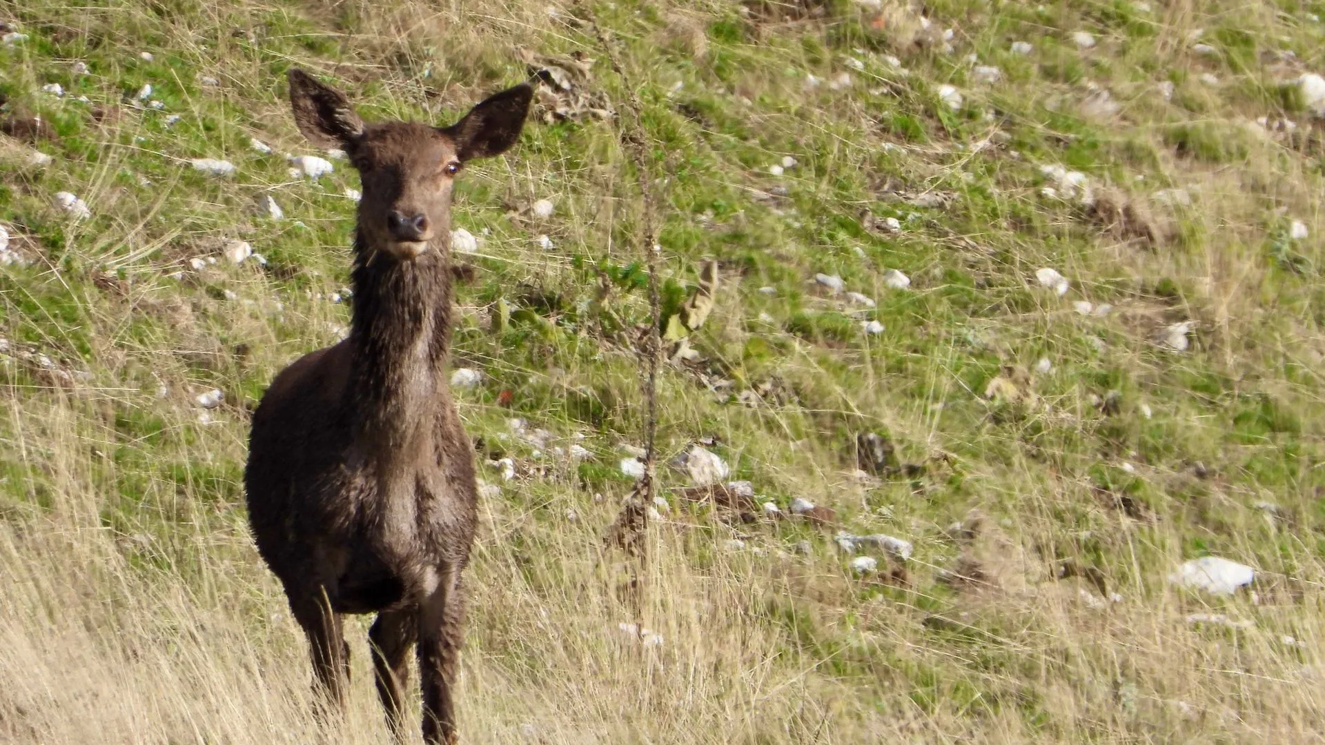 Trek Abruzzes Italie 8 jours - Photo 4