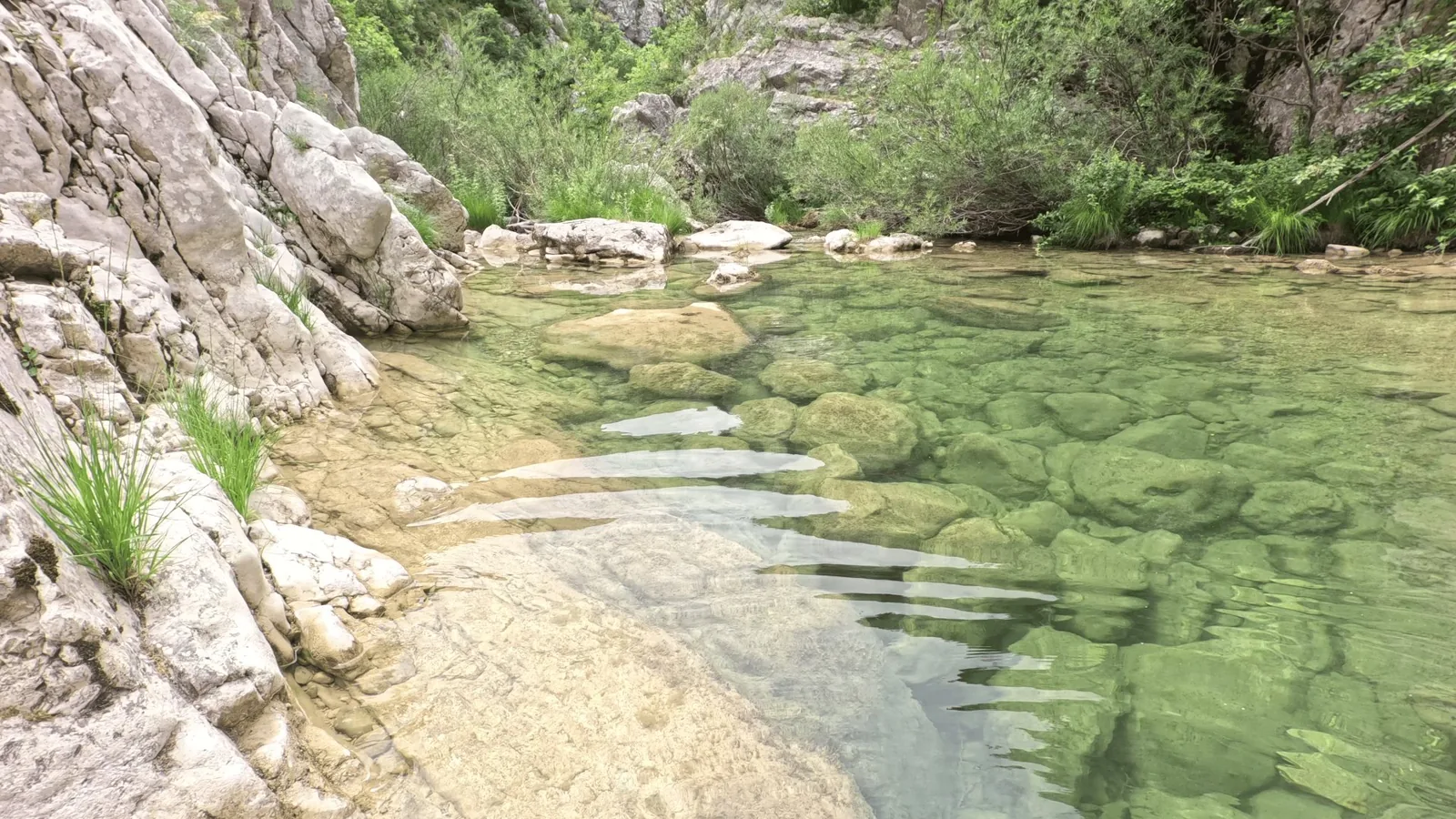 Canyoning Wakabonga - Famille