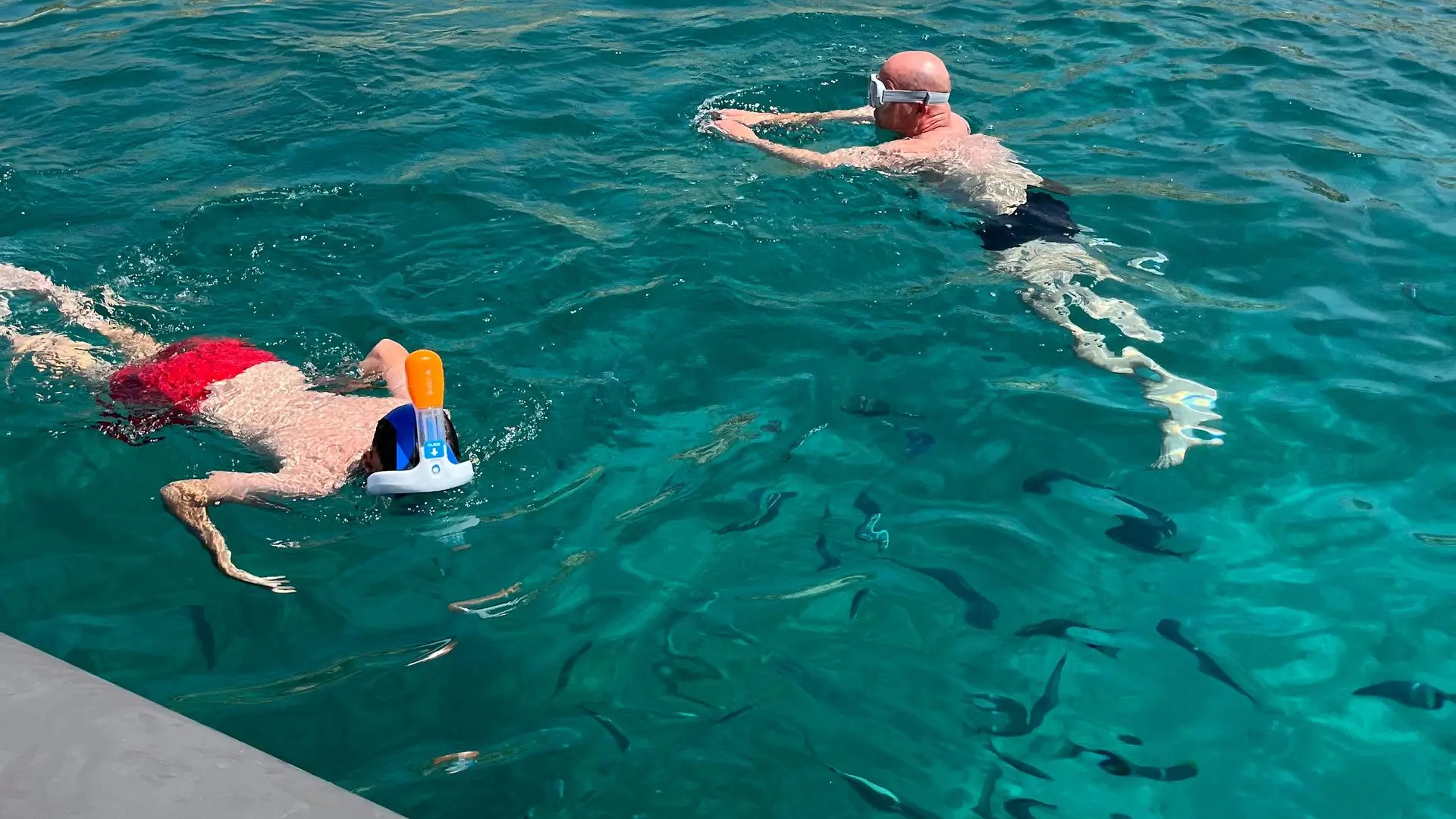 Privatisation baignade et snorkeling Frioul 5h - Photo 4