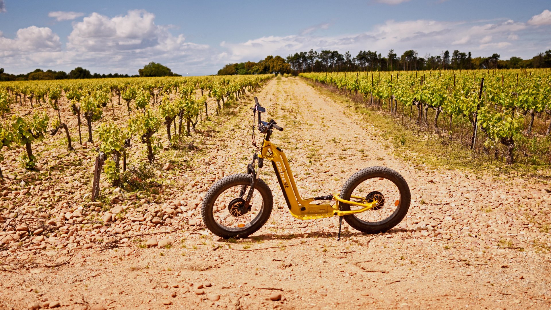 Balade Trottinette Électrique – Parcours Vert : Autour des Vignes - Photo 4