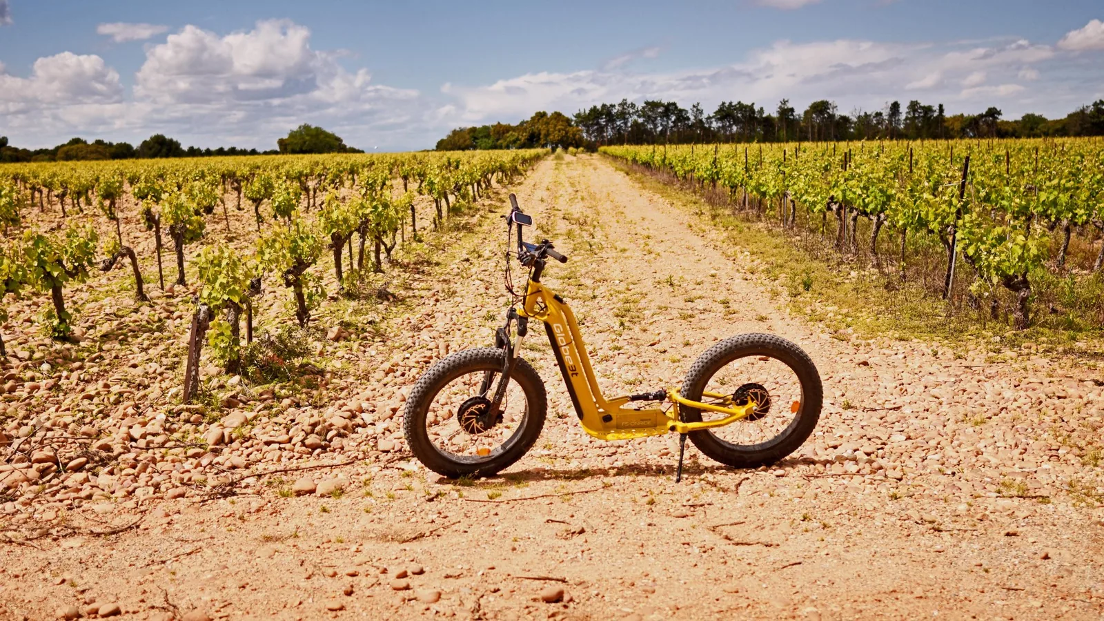 Balade Trottinette Électrique – Parcours Vert : Autour des Vignes - Photo 4