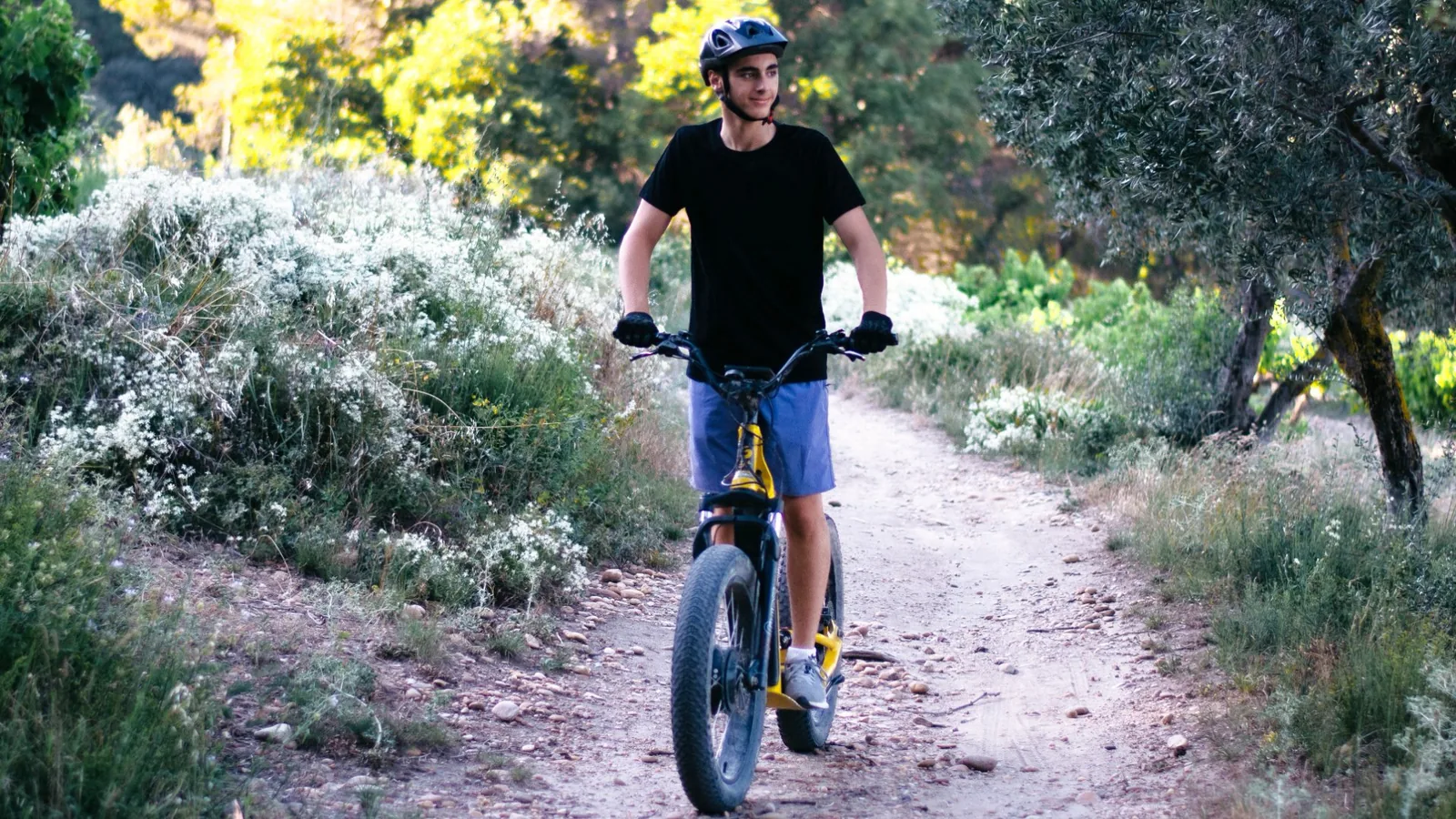 Balade Trottinette Électrique – Parcours Bleu : Les 2 Collines - Photo 3