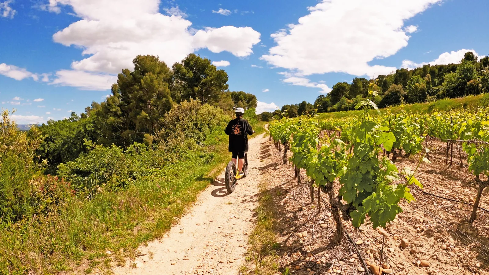 Balade Trottinette Électrique – Parcours Bleu : Les 2 Collines - Photo 4