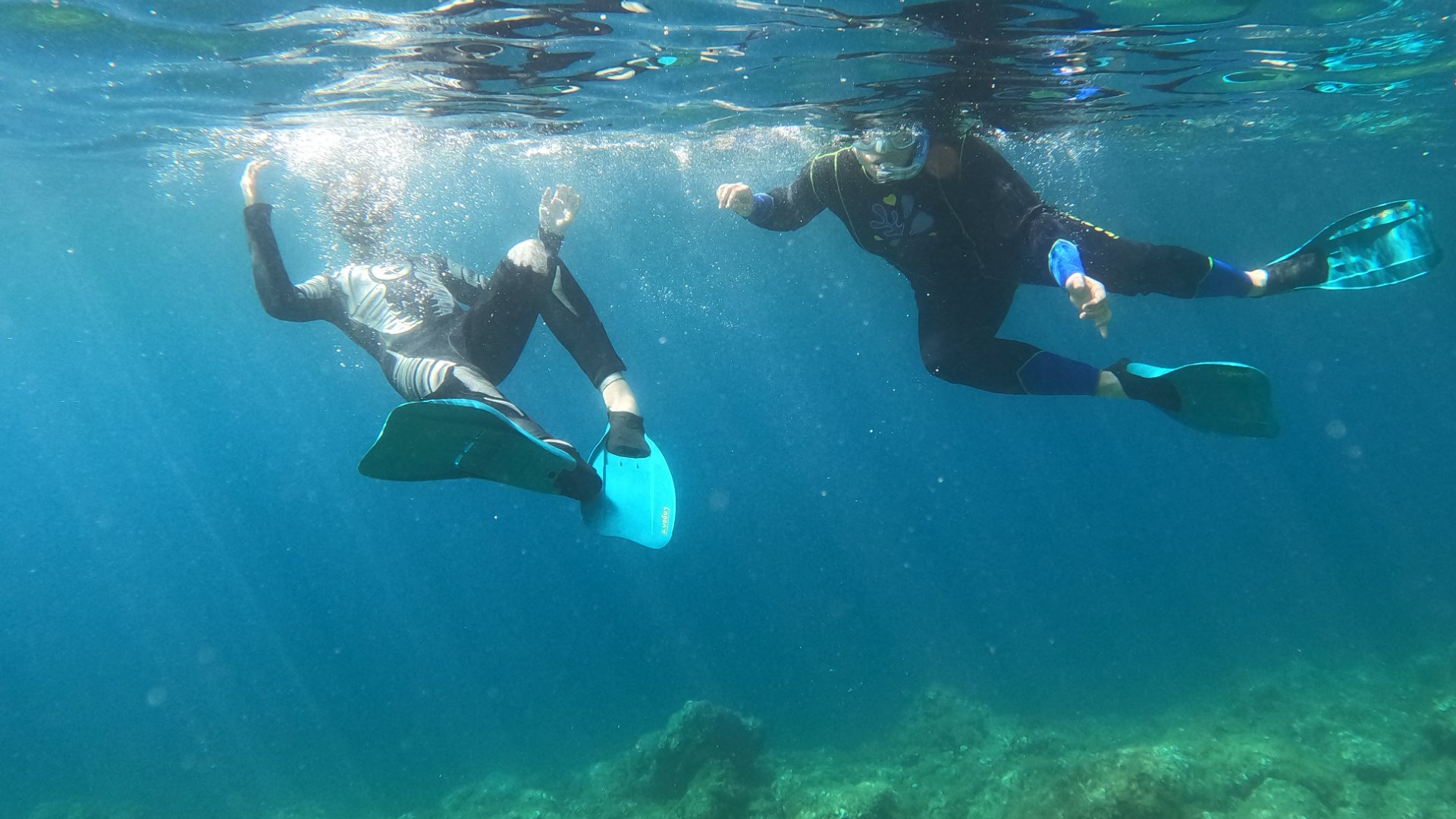 Randonnée Palmée – Balade Sous-Marine à Villefranche-sur-Mer - Photo 5